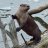 RiverOtter